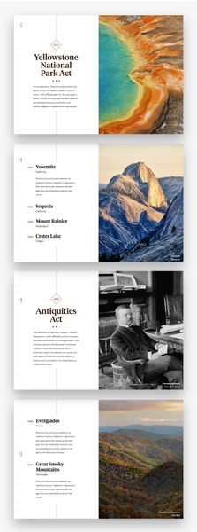 Dribbble full