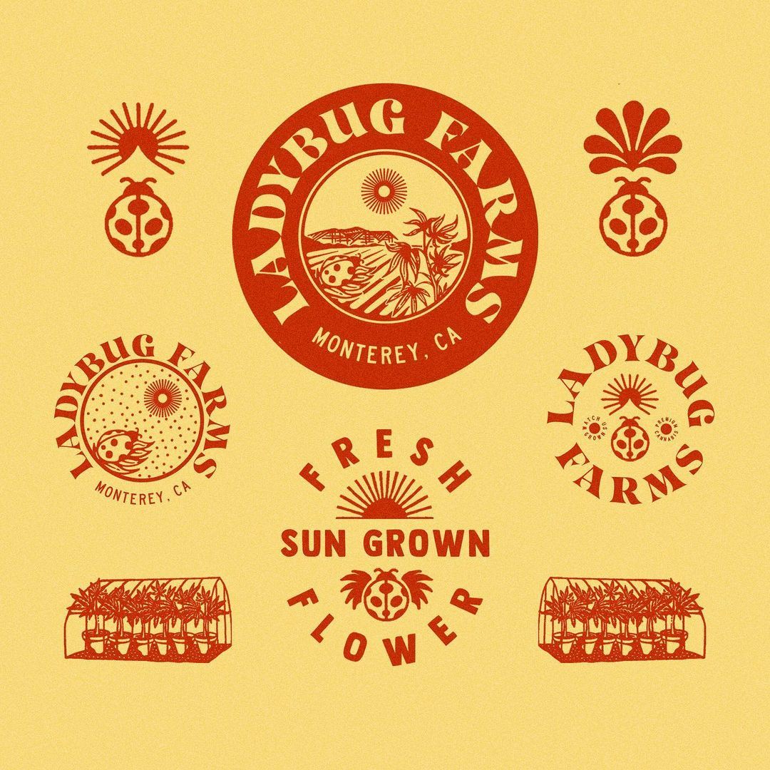 @rise_wise shared a photo on Instagram: “New identity for @ladybug_farms - California Premium Can…