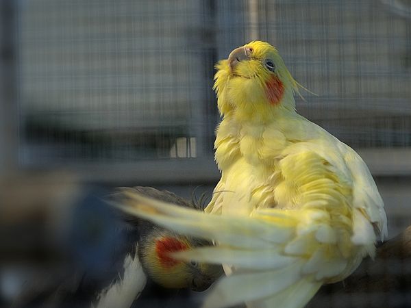 DSC_9990_003.jpg neu