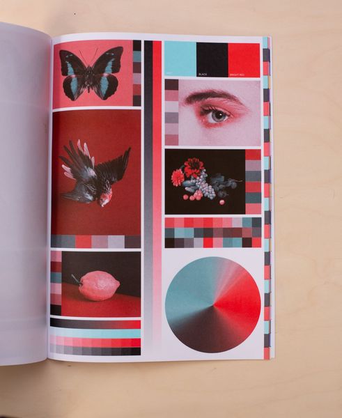 3 INKS riso_003_01_X1_0058