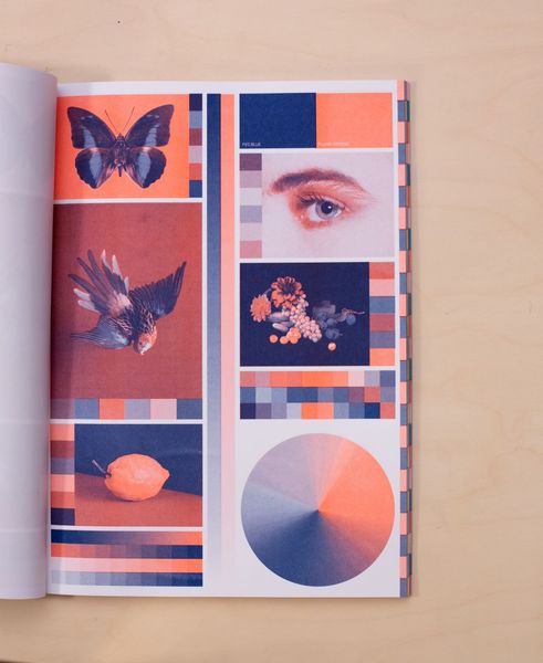 2 INKS riso_003_01_X1_0017