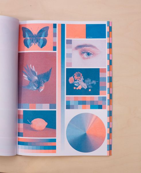 2 INKS riso_003_01_X1_0031