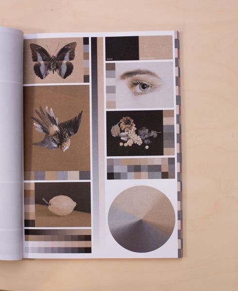 2 INKS riso_003_01_X1_0011