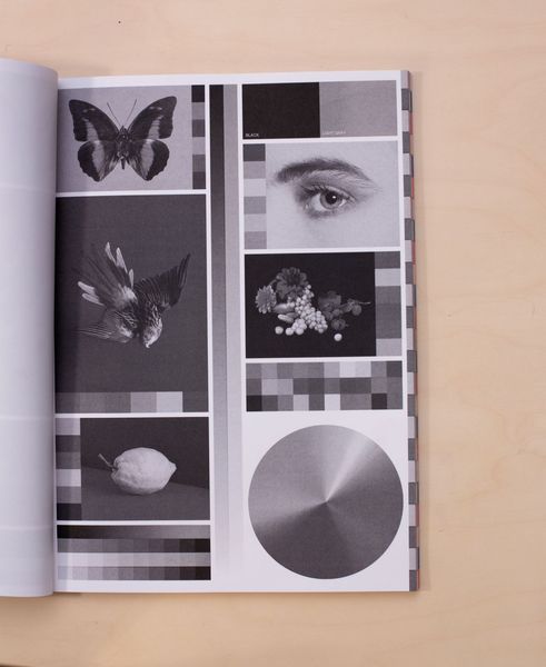 2 INKS riso_003_01_X1_0010