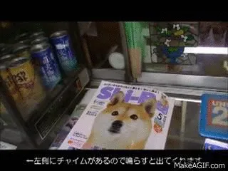 cs5d0wx.jpg (320×240)