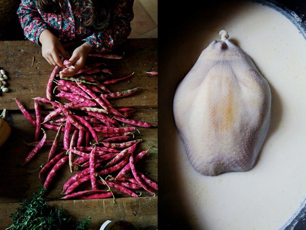 Haricots ‘cocos’ rouges
