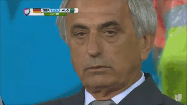 QueasyKnobbyHornedviper.gif (800×450)