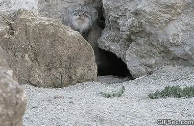 LWepkvT.jpg (380×248)