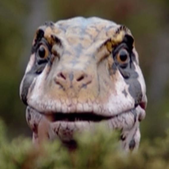 We are h3h3productions, professional complainers and YouTube drama queens. Please roast us, appreci…