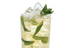 Kentucky Derby Mint Julep