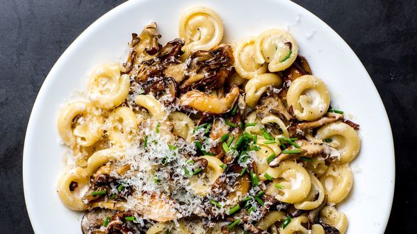 A Creamy Mushroom Pasta for When Nothing Else Will Do