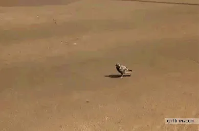 CdBtpHV.jpg (389×257)