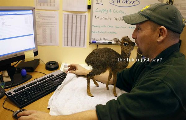 5658fZh.jpg (1200×774)