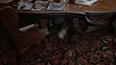 ToMjGpytF2HWVKbRIIw.gif (400×225)