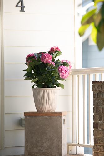 marketing-36-Web Res