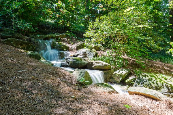 3303 E Pine Valley-103