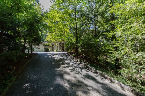 3303 E Pine Valley-102