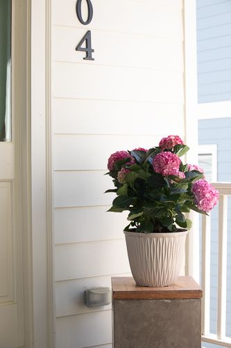 marketing-46-Web Res