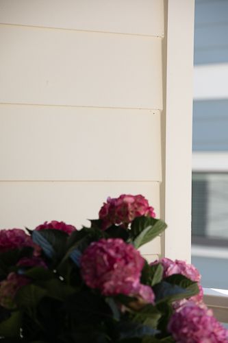 marketing-48-Web Res