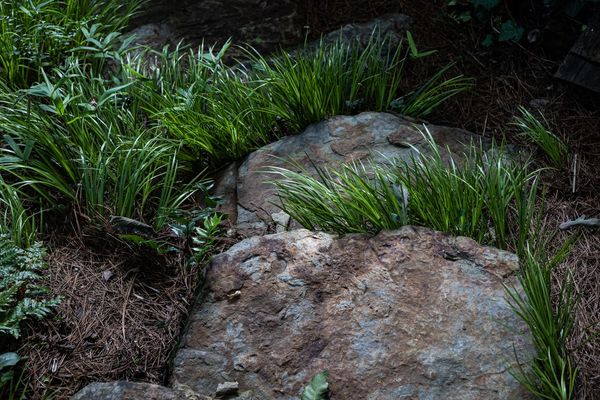 4155 Flintlock Rd-43