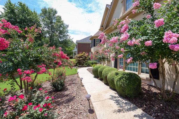 300 Mistwater Trce-16