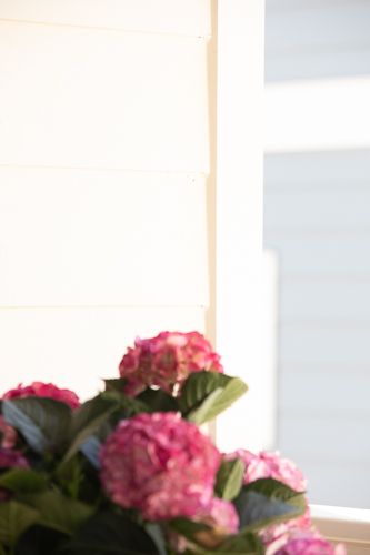 marketing-47-Web Res