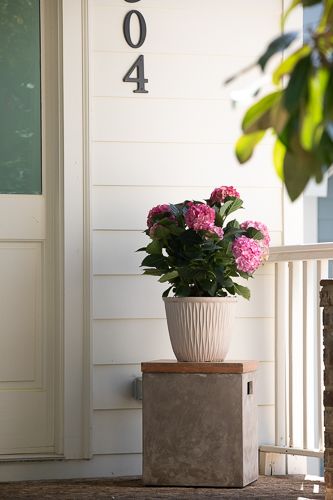 marketing-34-Web Res