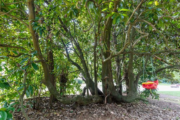 2950 Westminster Cir-7