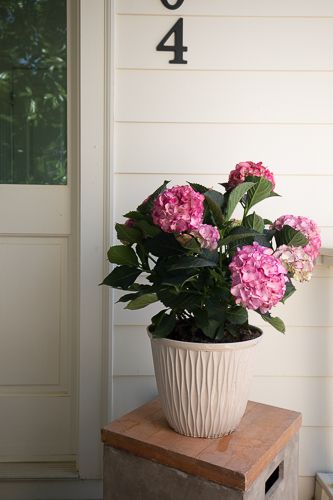 marketing-28-Web Res