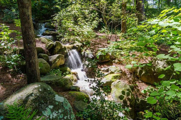 3303 E Pine Valley-83