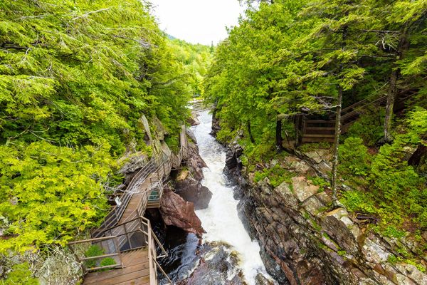 Lake Placid 2017-86-2