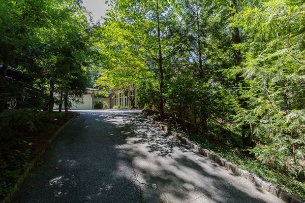 3303 E Pine Valley-102