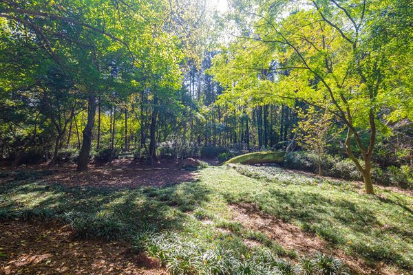 715 East Powderhorn-117