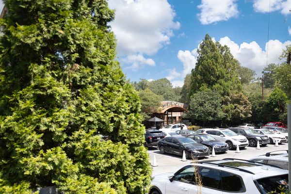 4306 Orchard Valley-298