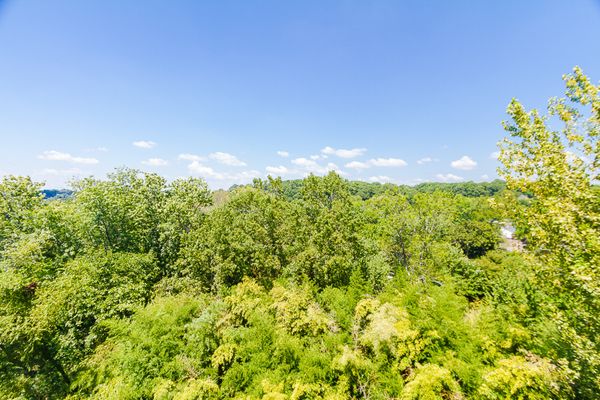 211 Colonial Homes-29-WebRes