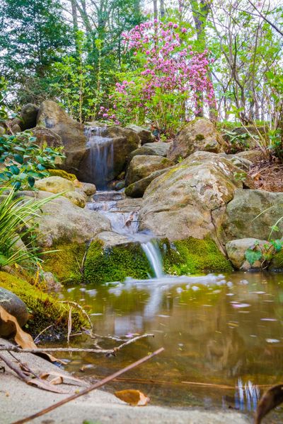 3033 E. Pine Valley-10