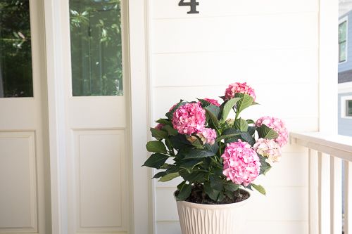 marketing-27-Web Res