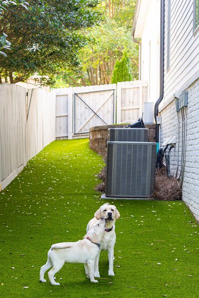 2696 Ashford Road-61