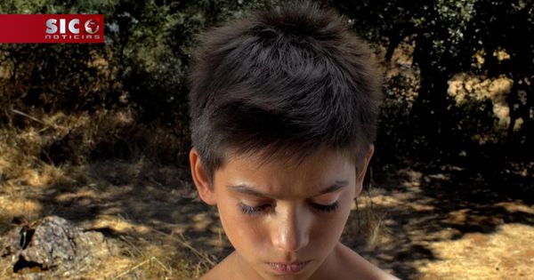 SIC Notícias | Filme português "Farpões Baldios" vence Grande Prémio do Festival de Hiroshima