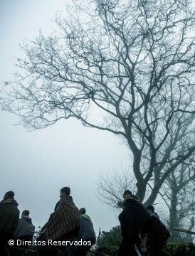 Filmes de Pedro Magano com vidas de romeiros e pescadores portugueses exibidos nos EUA - Açoriano …