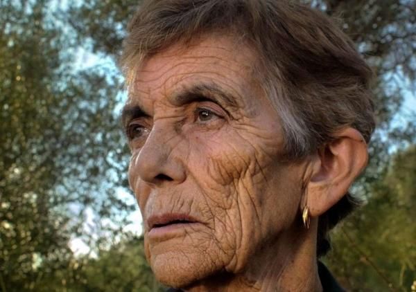 Filme português "Farpões Baldios" vence Grande Prémio do Festival de Hiroshima > TVI24