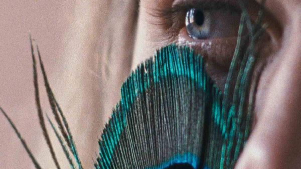 Mais de 50 filmes em competição no Festival de cinema Caminhos