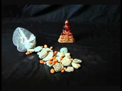 Workshop Stop Motion - XVI Festival Caminhos do Cinema Português