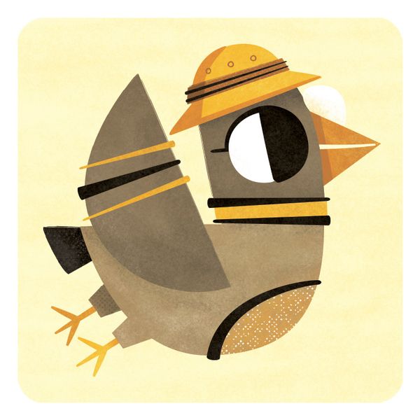 Animal Cards | Bird