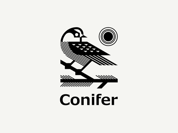 Conifer