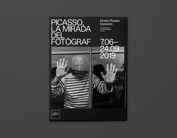 Picasso, la mirada del fotògraf