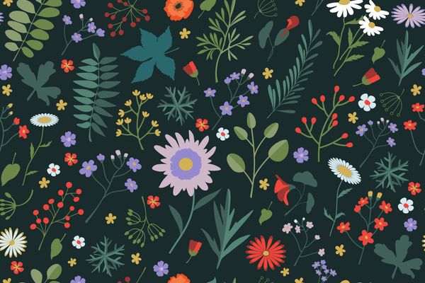 Wild Flowers Pattern