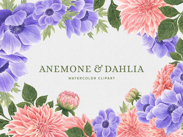 Anemone & Dahlia Watercolor Flowers Clipart