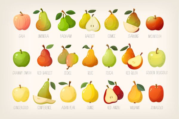$ Pears and apples