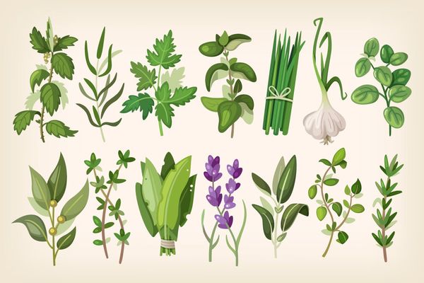 $ Common Herbs